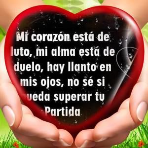 Meet your Posher, Mari